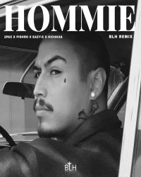 دانلود آهنگ BLH |-Hommie